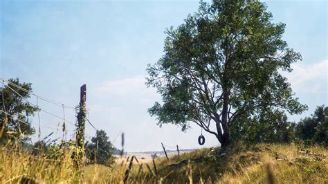 pixel megascan|quixel megascan.